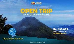 Open Trip Gunung Gede
