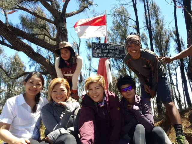 Paket Pendakian Gunung Argopuro